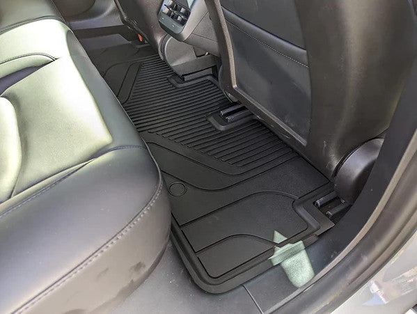 Alfombrilla bandeja instalada en la parte trasera del auto de Diogo Zagalo